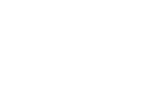 Premium logo