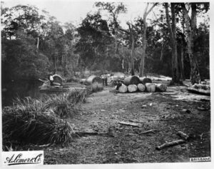 Material de madera en entorno productivo industrial