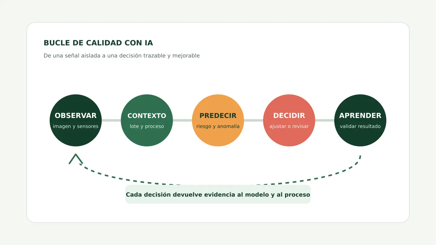 Diagrama del bucle de calidad alimentaria con IA: observar, contextualizar, predecir, decidir y aprender